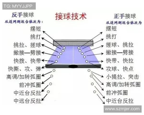 科学乒乓球:速度训练方法 科学乒乓球:速度训练方法