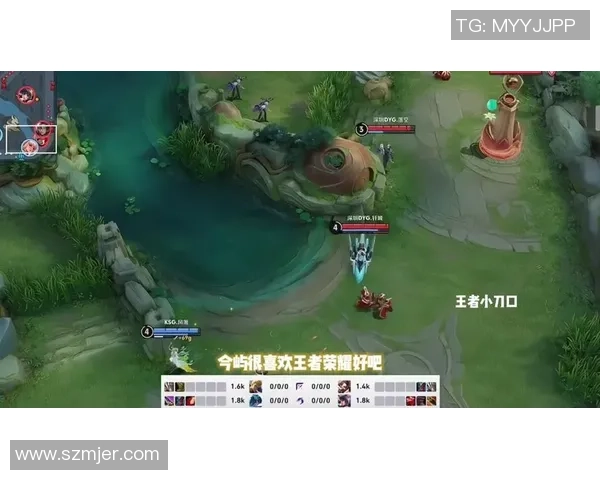 王者荣耀巨献：探秘JDG的个人能力