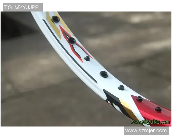 专业解读：成都羽毛球队的进攻打法