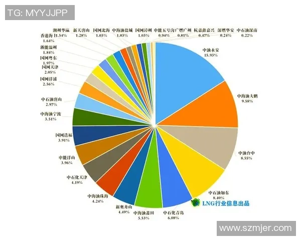 数据分析：LNG的团队协作表现_1