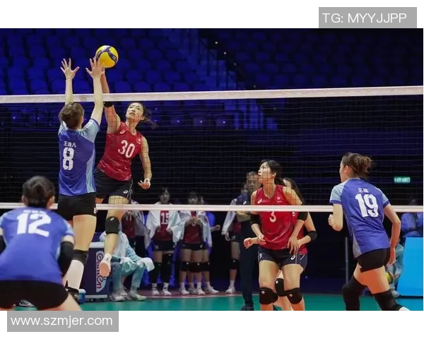 热议排球：广州排球队的耐力变革